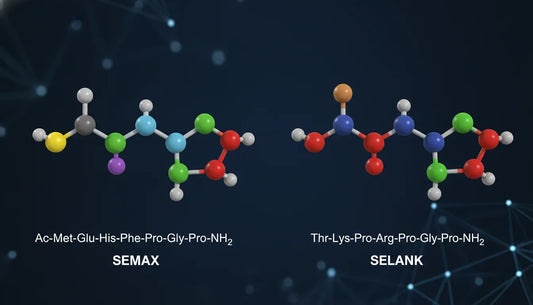 Side-by-side molecular models of Semax and Selank peptide structures against a dark blue laboratory background